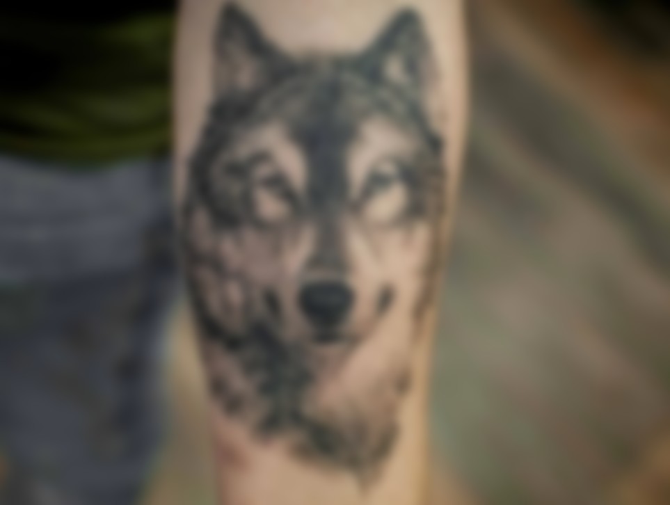 Стоковые векторные изображения по запросу Волк тату