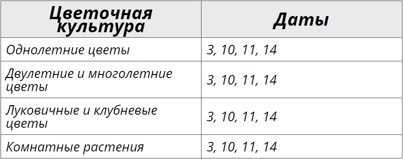 Пересадка цветов в мае 2024 благоприятные дни