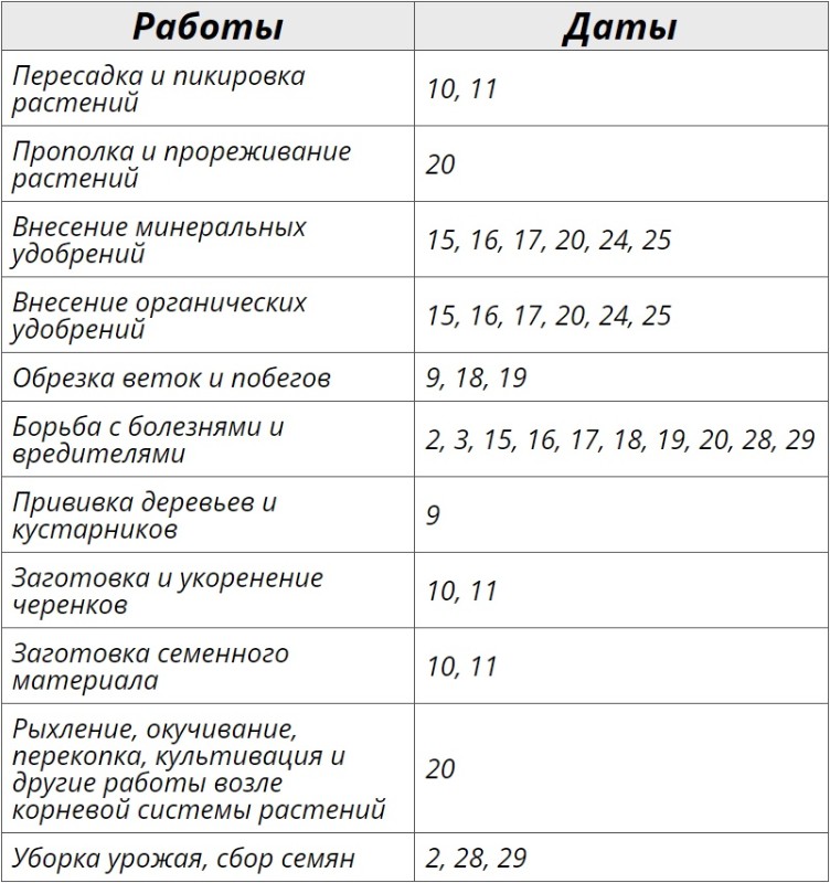 Благоприятные дни для огородных работ по лунному календарю на июль 2024 – Kleo.ru