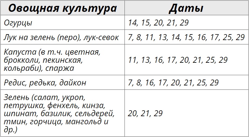 Дачный участок посевной календарь на август 2024