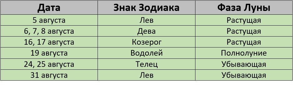 Благоприятные дни для стрижки на август 2024 года – Kleo.ru