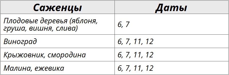 Благоприятные дни для посадки кустарников и деревьев по лунному календарю на ноябрь 2024 – Kleo.ru