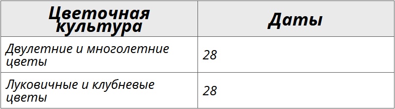 Благоприятные дни для посадки цветов по лунному календарю на ноябрь 2024 – Kleo.ru