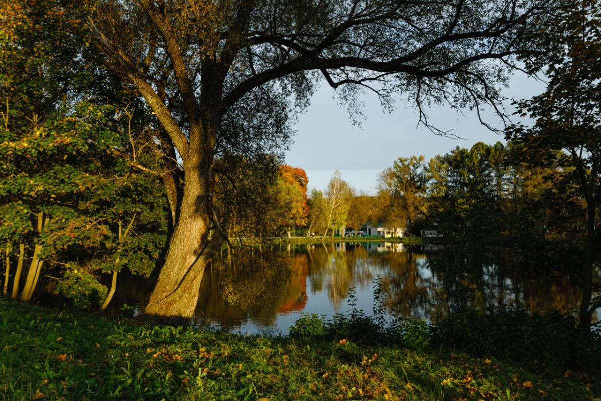 Фото: соцсети/@ypmuseum