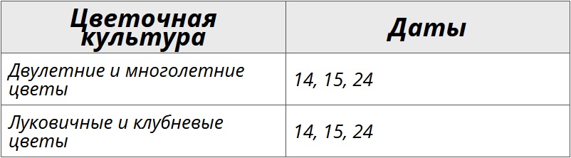 Лунный посевной календарь на декабрь 2024 года для цветов – Kleo.ru