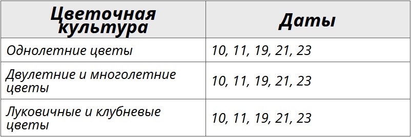 Лунный посевной календарь на январь 2025 года для цветов – Kleo.ru