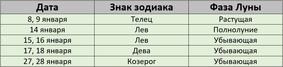 Благоприятные дни для стрижки по лунному календарю на январь 2025 года – kleo.ru