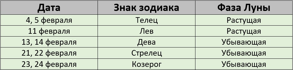 Благоприятные дни для покраски волос по лунному календарю на февраль 2025 года – Kleo.ru