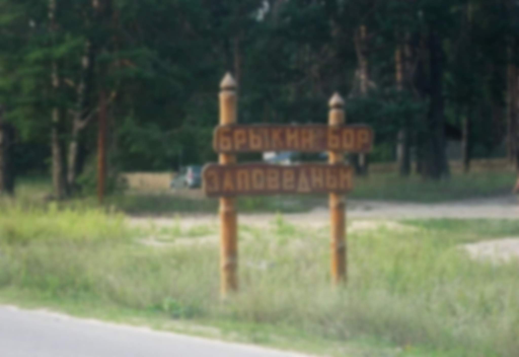 Брыкин Бор Рязанская область заповедник