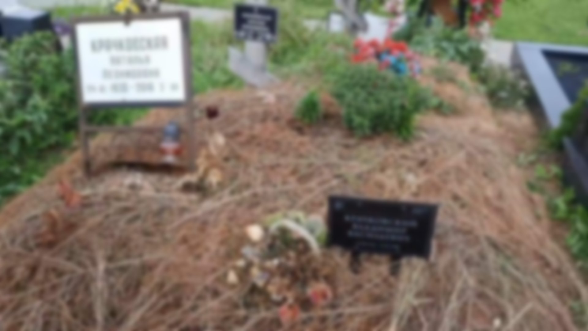могила легкоступовой на троекуровском кладбище фото сегодня
