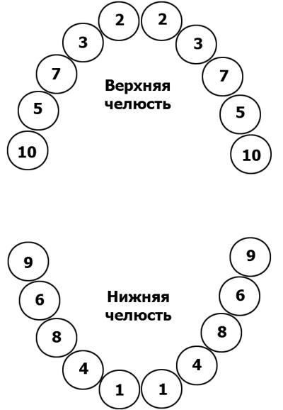 Зубы режутся схема