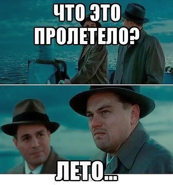 Планы на лето шутка